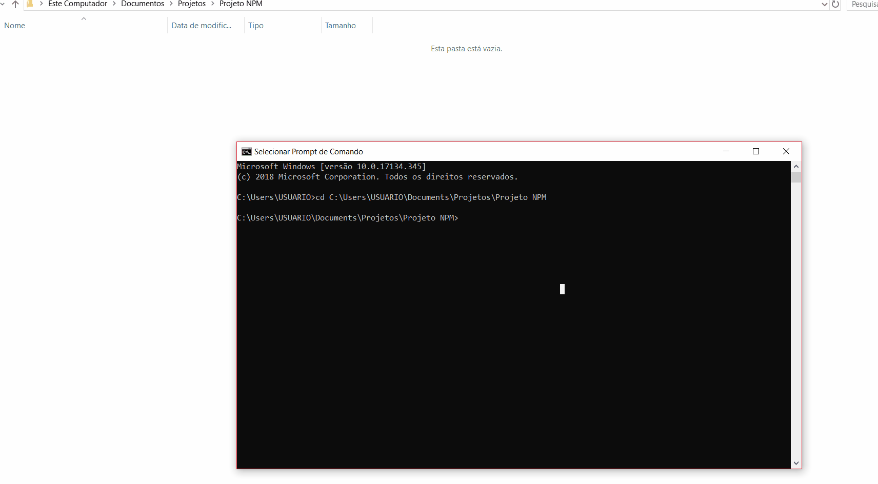 GIF ilustrando a execução do comando “npm init” no terminal